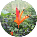 Haysey profile picture